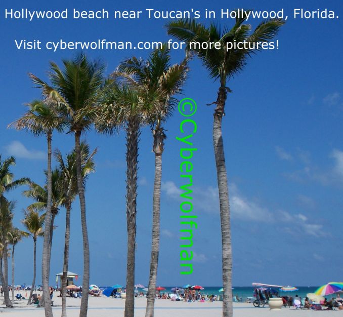 The Hollywood Beach near Toucan's in Hollywood, Florida